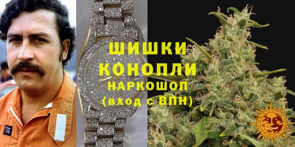 стаф Аркадак