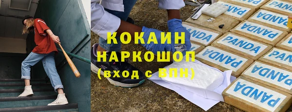 стаф Аркадак