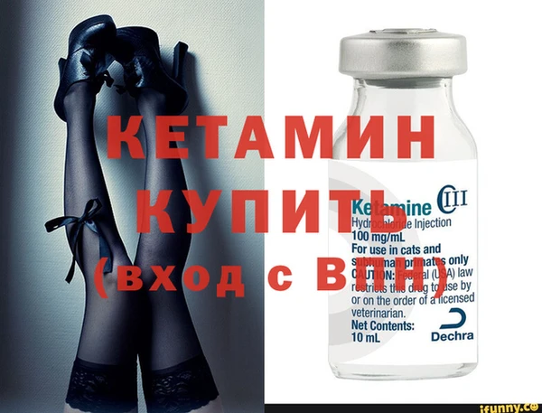 стаф Аркадак