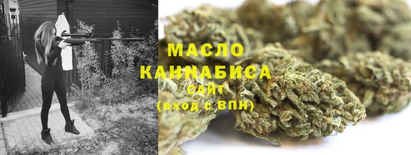 стаф Аркадак