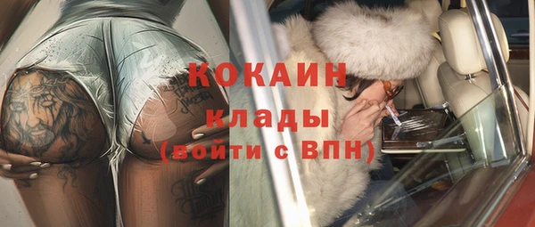 стаф Аркадак