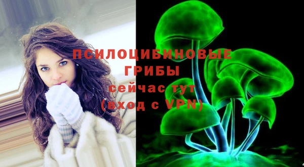не бодяженный Кирсанов